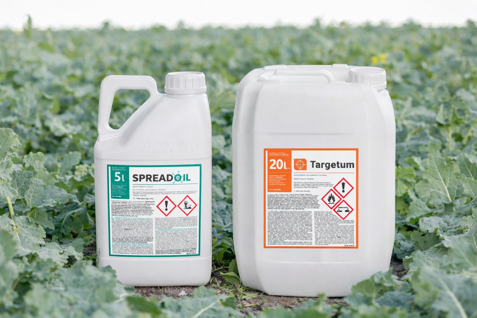 ChatGPT Image 20 лют. 2026 р., 15_42_14